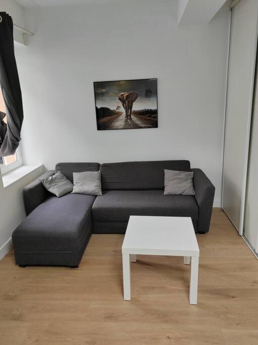 Appartement L'oasis Des Iris - T2 *